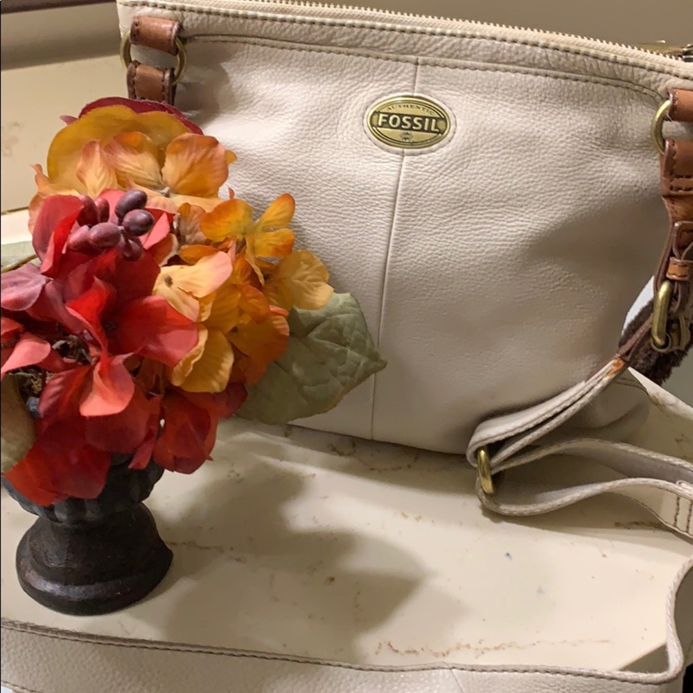 Fossil crossbody bag